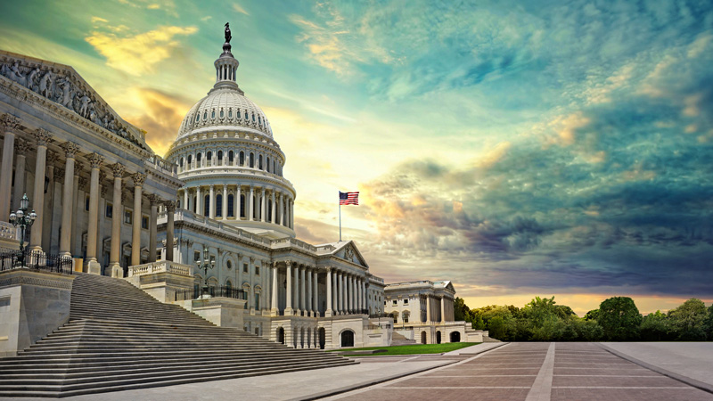 Policy Brief Archive