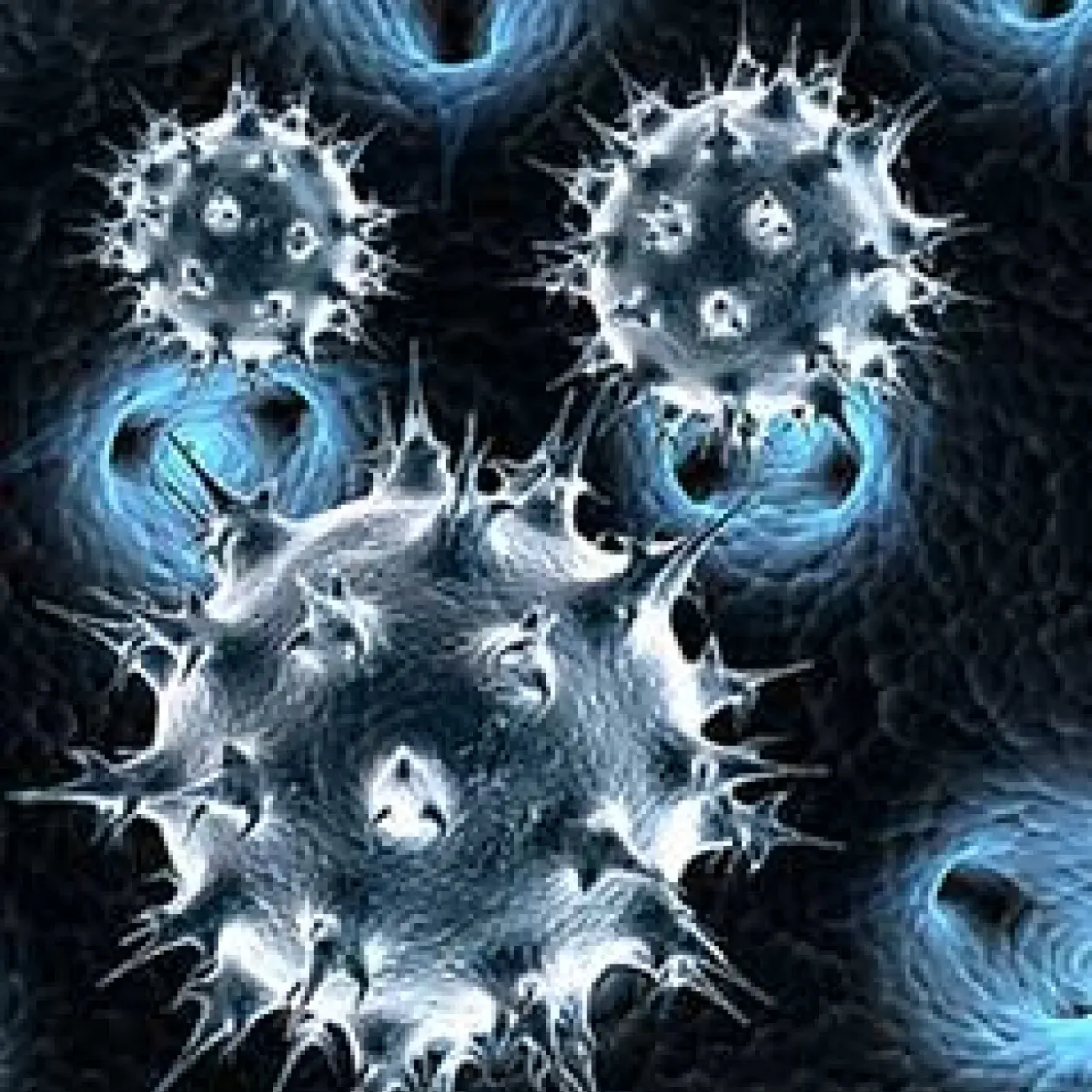 bacteria