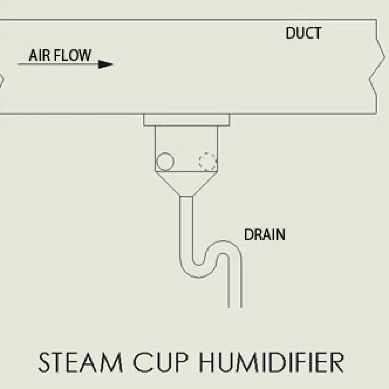 steam cup